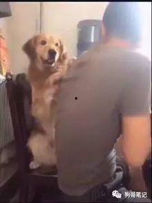 网红狗哥爆料吃瓜事件,揭秘娱乐圈吃瓜大事件！  第1张