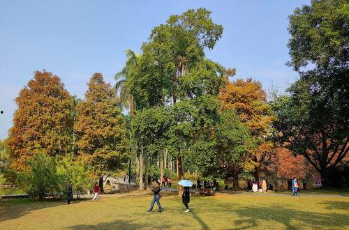 植物园在线观看,在线探索植物园的奇妙之旅  第3张